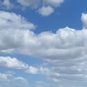 Meet your Posher, Nuhamin